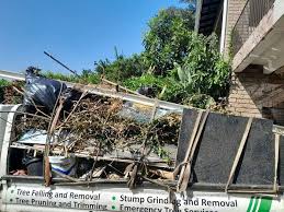 Best Attic Cleanout  in Muncie, IN